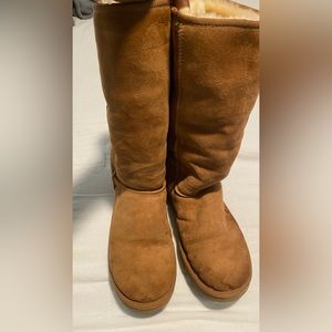 Tall Chestnut Ugg 11